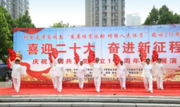 像素排球大作战